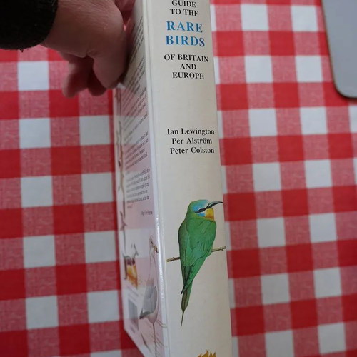 Rare Birds book like new, hardcover