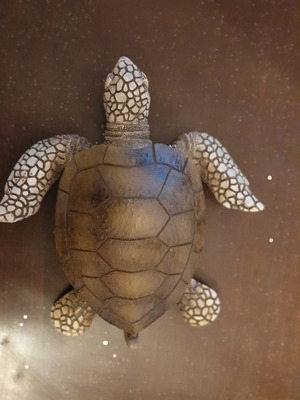 Caretta Caretta replica used, length 16 cm