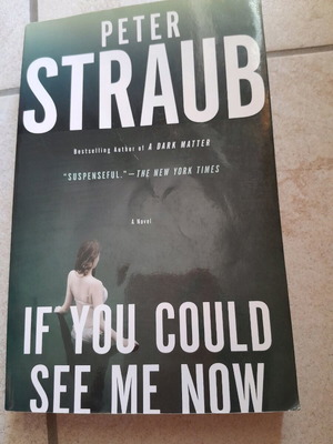 If You Could See Me Now Peter Straub new, English