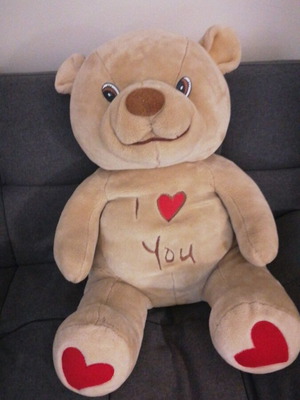 Large Teddy Bear like new