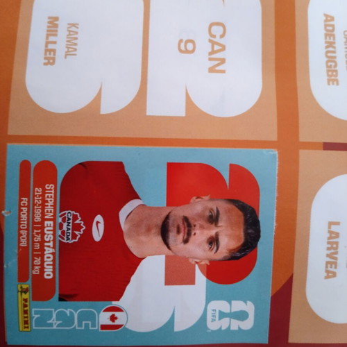FIFA World Cup stickers, new