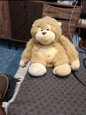 Plush doll like new