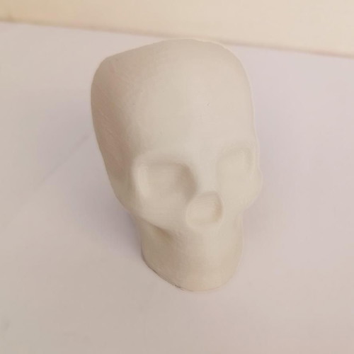 Skull pencil holder 3D printed new