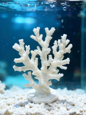 Aquarium 3D Printed Decorative Coral new