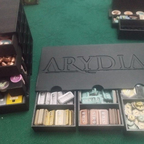 Arydia 3D printed insert custom made