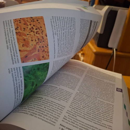Internal Pathology & Differential Diagnosis Volume 3 like new