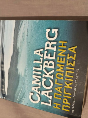 Замръзналата принцеса книга като нова
