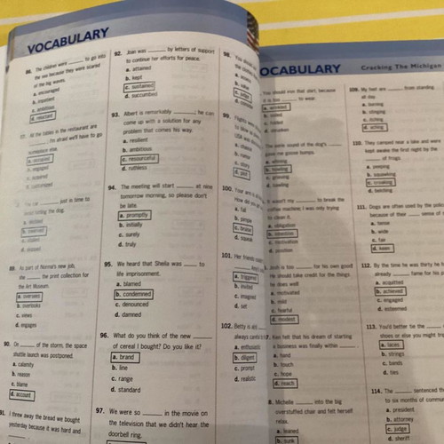 Betsis Succeed in Michigan 15 Practice Tests new, set of 2 books