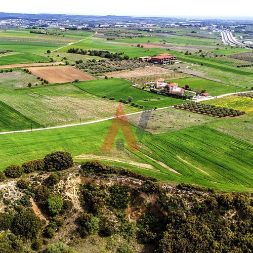Buildable agricultural land 15,000 m² in Scholari Thessaloniki
