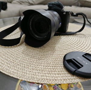 Sony ZV-E1 и Sony Vario-Tessar
