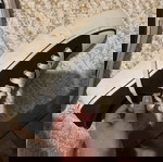  Καθημερινά μαύρα παπούτσια τύπου sneakers Νο37