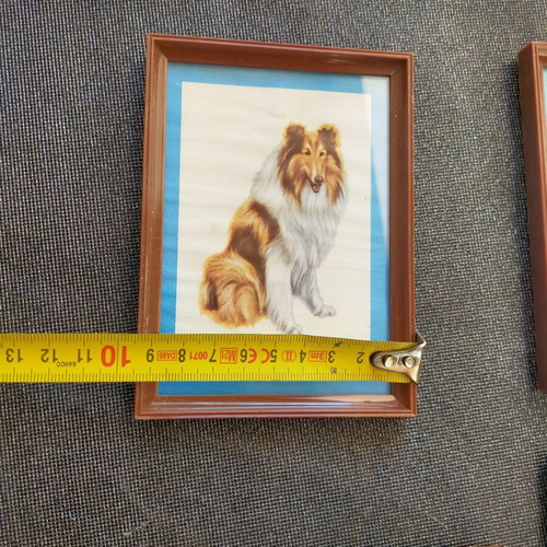 Collection of 4 framed animal art prints from England