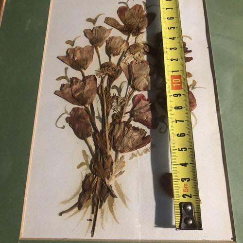 Frames with dried flowers bouquet like new, set of two