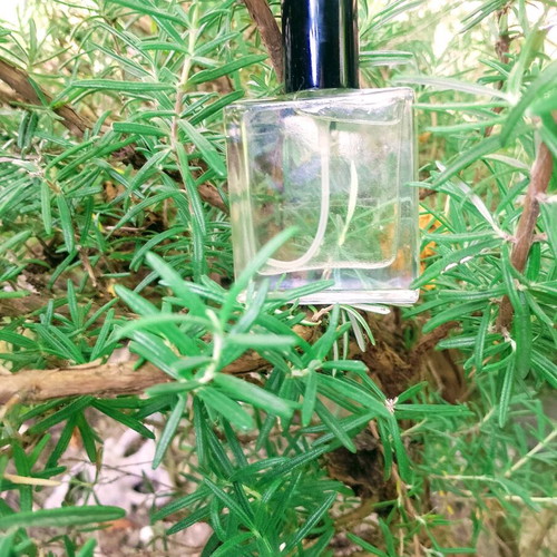 Mosquito Repellent Herbal Oil with Organic Oils new