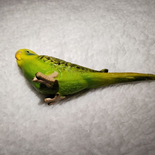 Green Budgie Schleich 14408 vintage 7 cm used