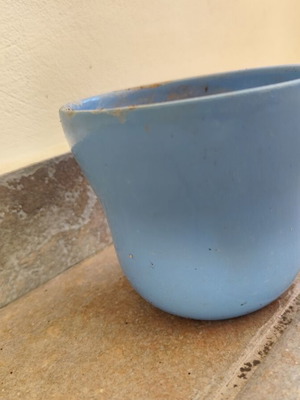 Blue flowerpot used