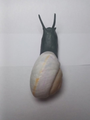 Decorative snail new, handmade with shell