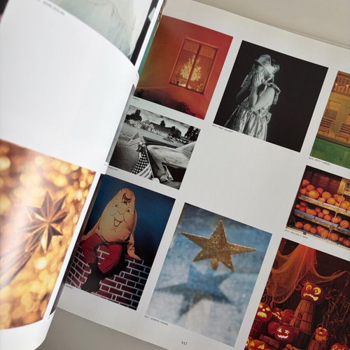 Swanstock Fine Art Photography collectible book like new