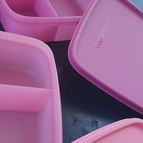 Tupperware children's divided lunch box, assorted colors