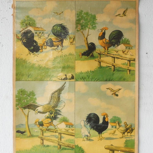 Old school map used, The two roosters and the eagle