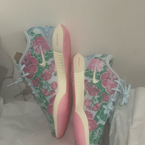 Nike LeBron xxi prm shoes new, size 46