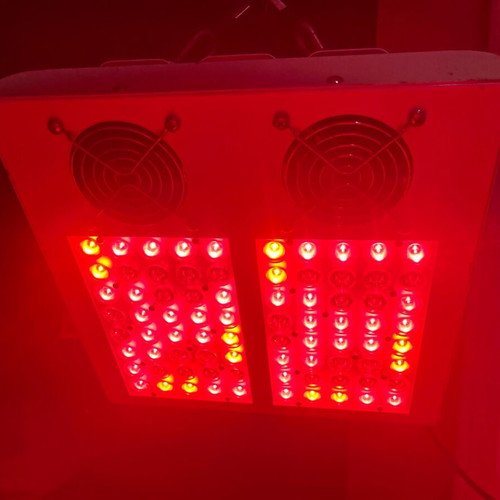 Led Grow Light 280W like new, Cree & Osram