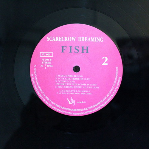 Scarecrow Dreaming Fish vinyl LP album used, rock