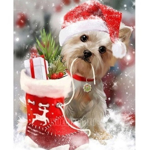 Diamond Painting Kit Dog with Hat, New, 20x30 cm
