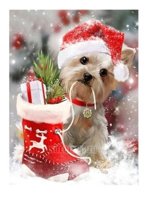 Diamond Painting Kit Dog with Hat, New, 20x30 cm