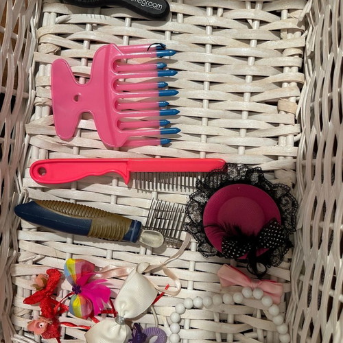 Dog grooming accessories used, combs and hair clips for small dog