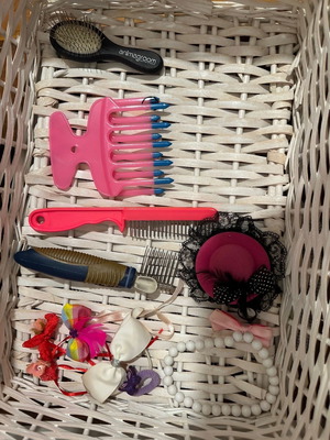 Dog grooming accessories used, combs and hair clips for small dog
