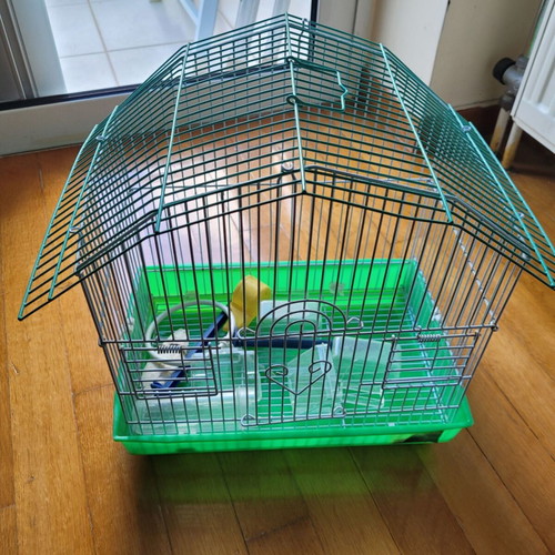 Canary cage used