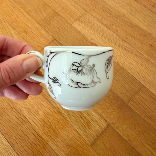 Ionia Coffee Cup and Saucer porcelain collection 2008 new