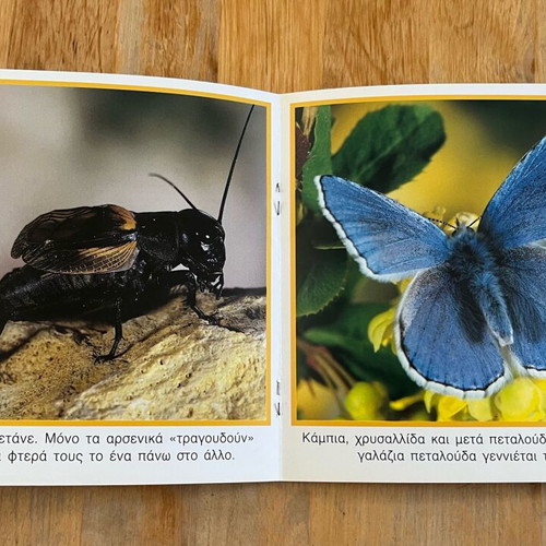 Set of 3 small books about European fauna like new