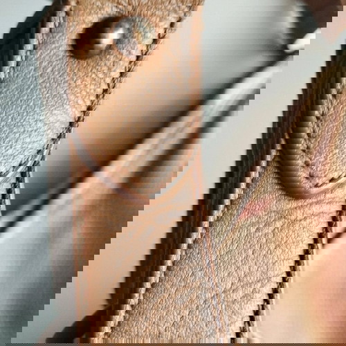 Δερμάτινη τσάντα ώμου Burberry καφέ μεταχειρισμένη