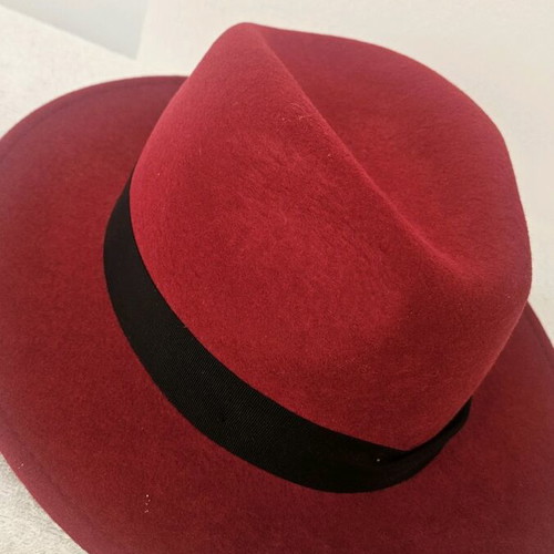 A.L.E. red hat new unisex