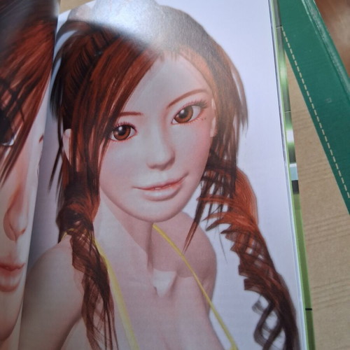 Digital Beauties Taschen book like new