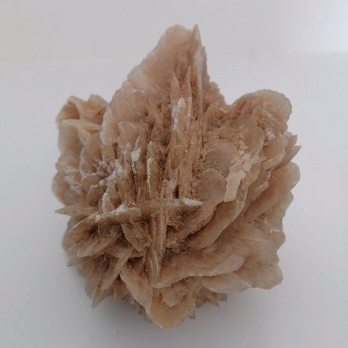 Desert rose like new natural mineral rock from Tunisia