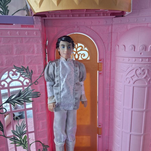 Prince doll used with face discoloration