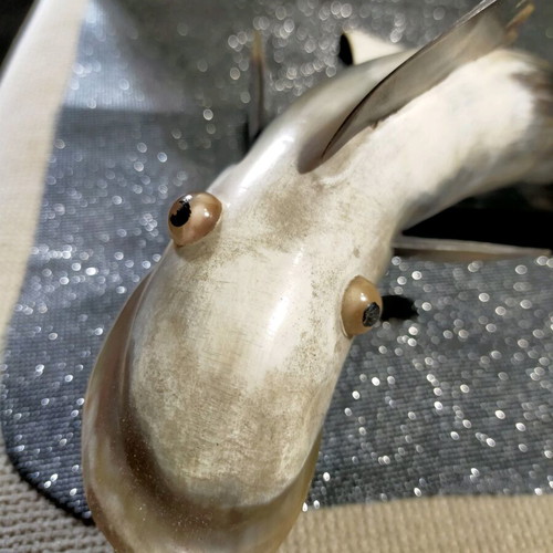 Decorative fish used