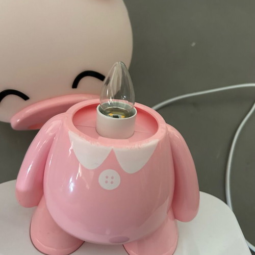 Pig Lamp with Skateboard like new