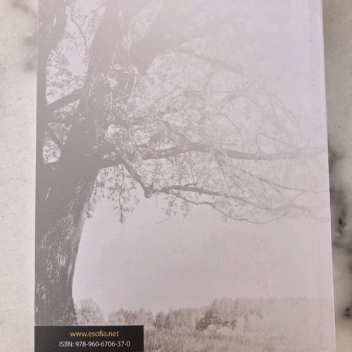 A Introduction to Algebra academic mathematics book like new