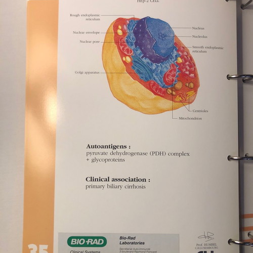 Autoimmune Diseases Atlas book used