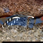  Red sun visor with elastic band