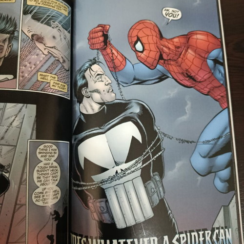Marvel Knights Punisher The Complete Collection Vol 1 TP new, English