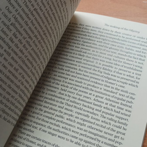 Homer The Odyssey Second Edition book like new