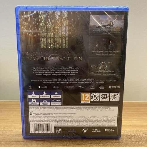 Hogwarts Legacy PS4 game