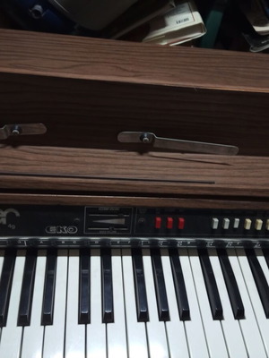 The New Tiger 49 Eko vintage harmonium