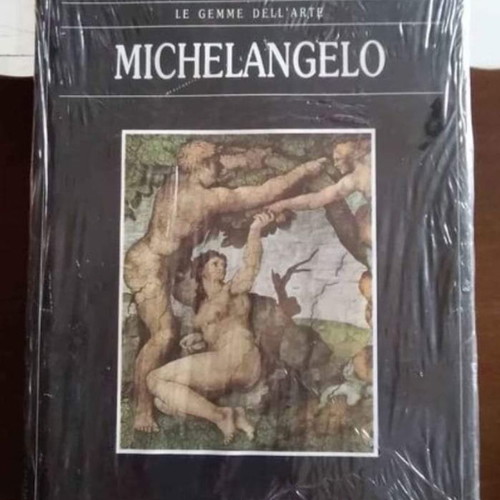 Michelangelo book new with many photos of artworks