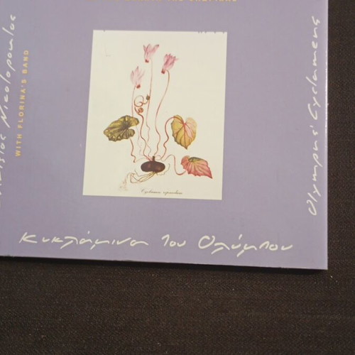 Christos Nikolopoulos With Florina's Band CD like new